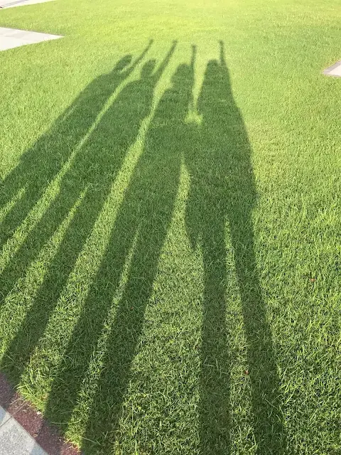 人工草皮