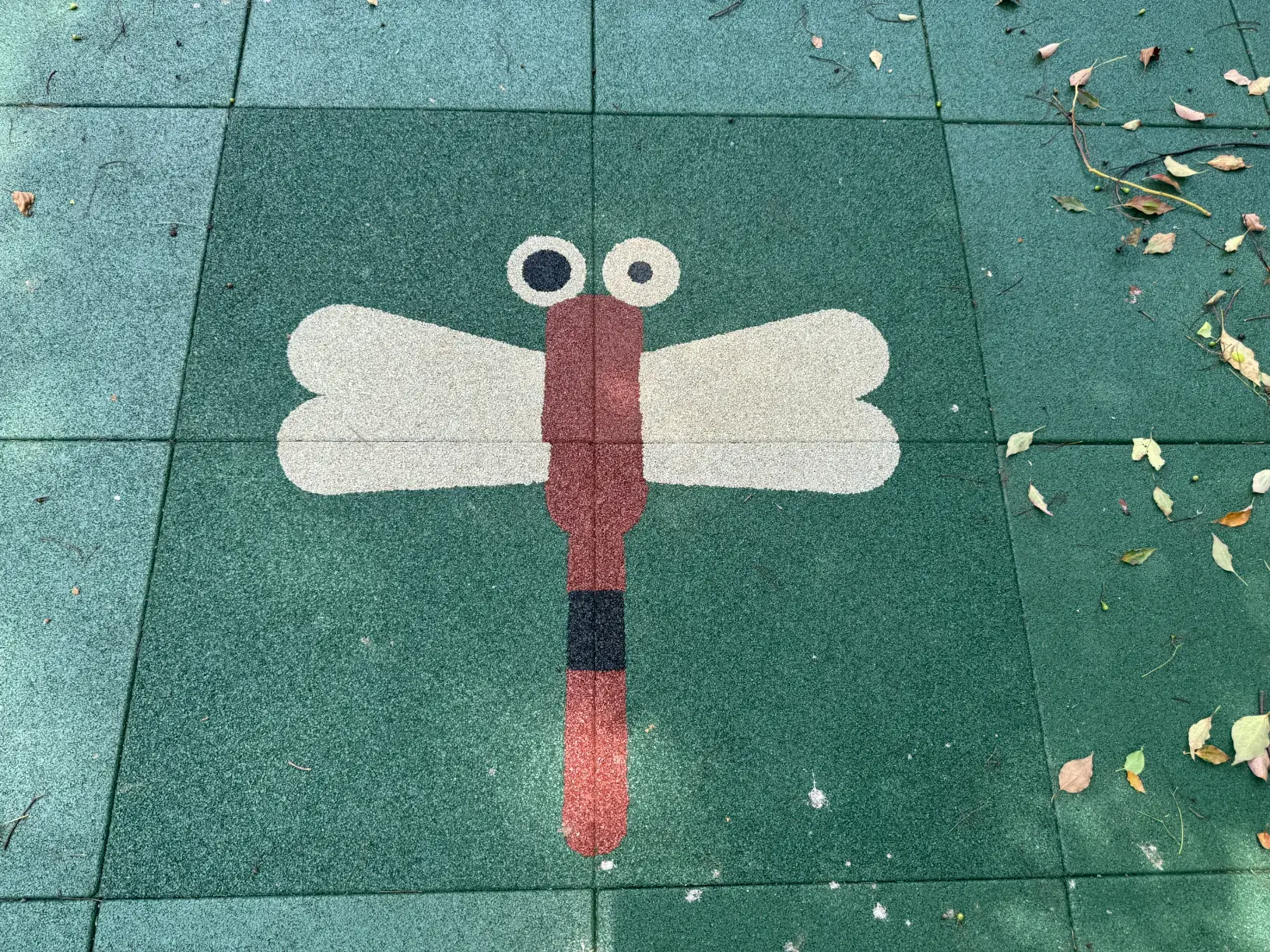 蜻蜓